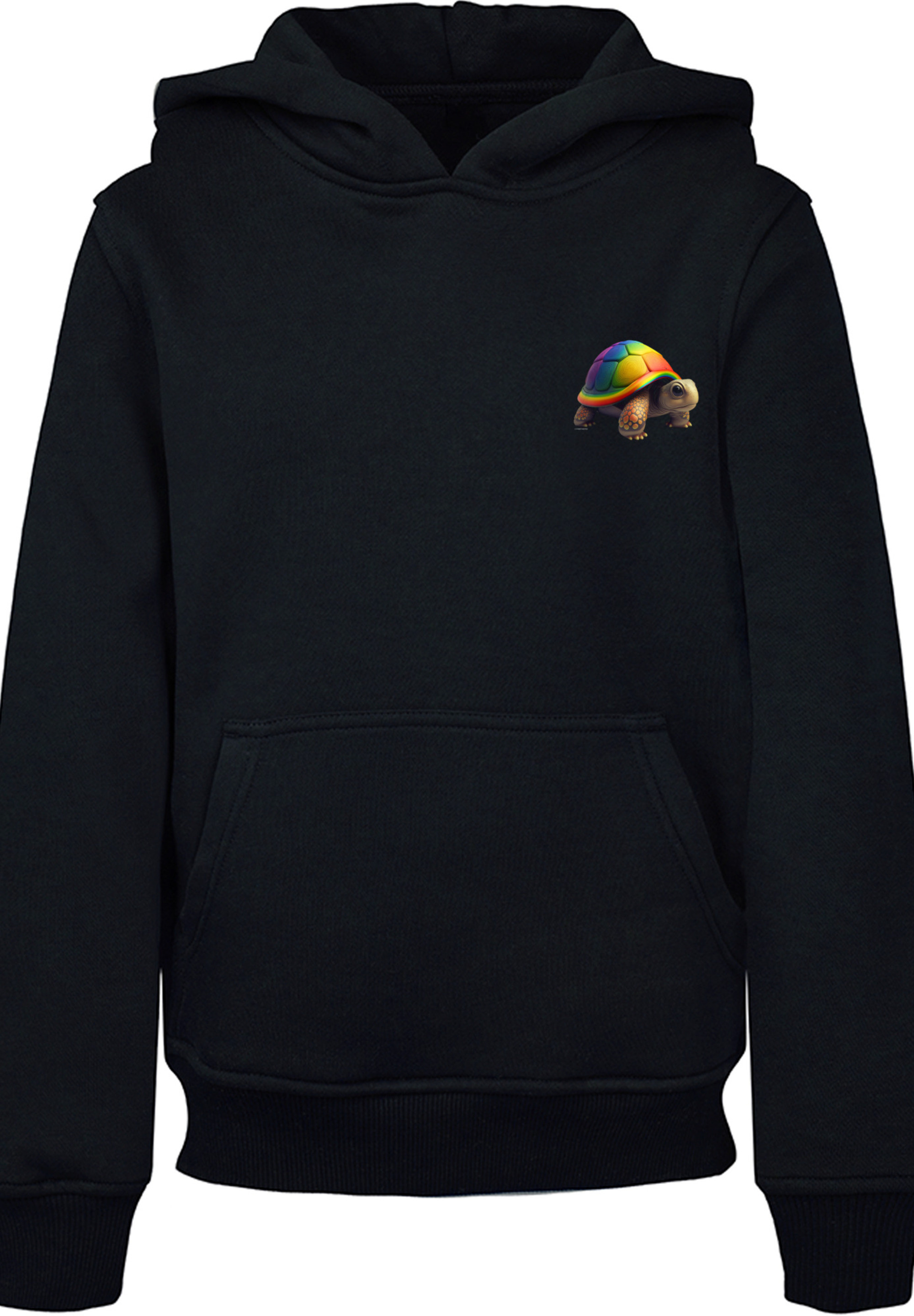 Пуловер F4NT4STIC Hoodie Rainbow Turtle HOODIE UNISEX, черный