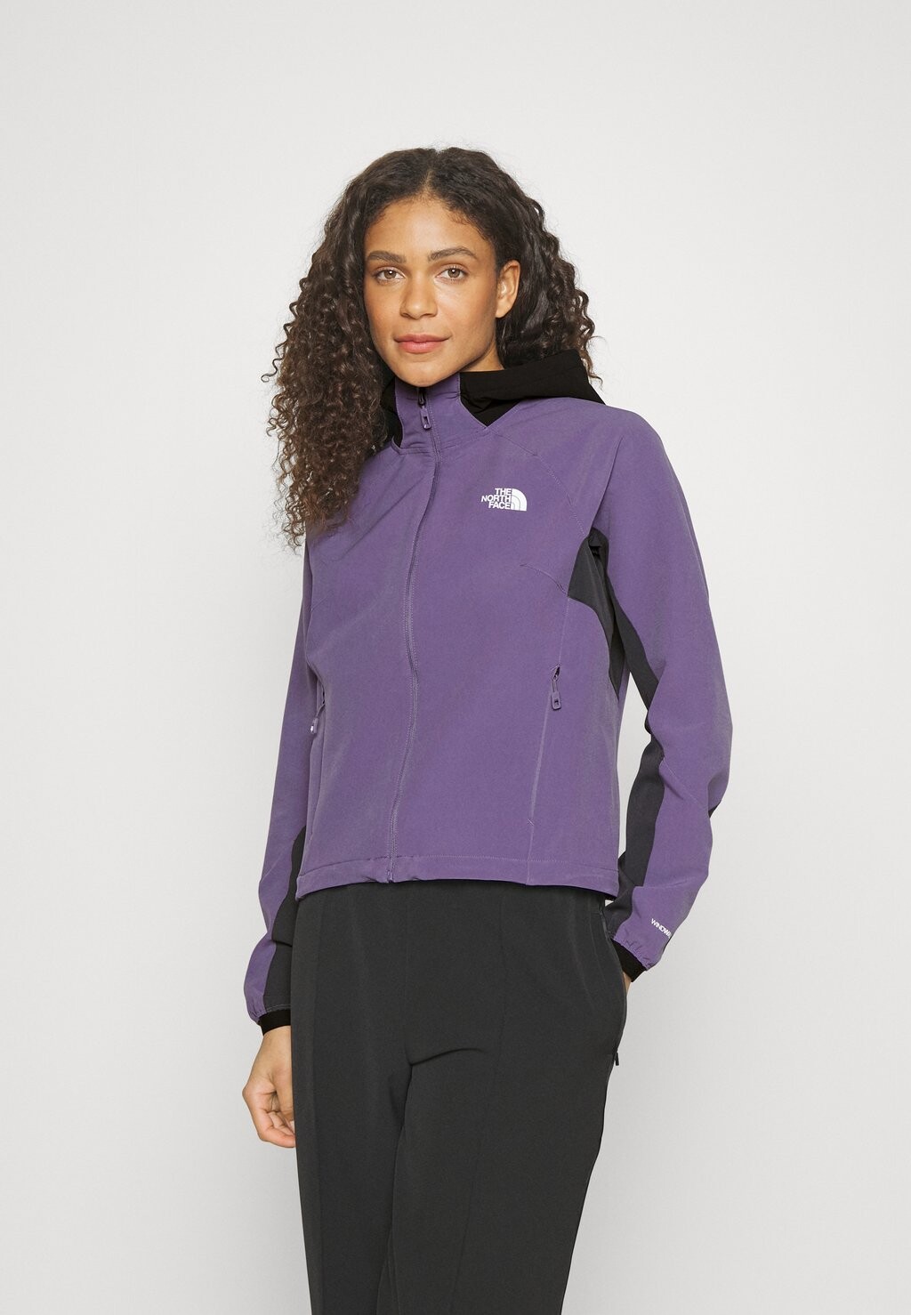 

Куртка софтшелл The North Face