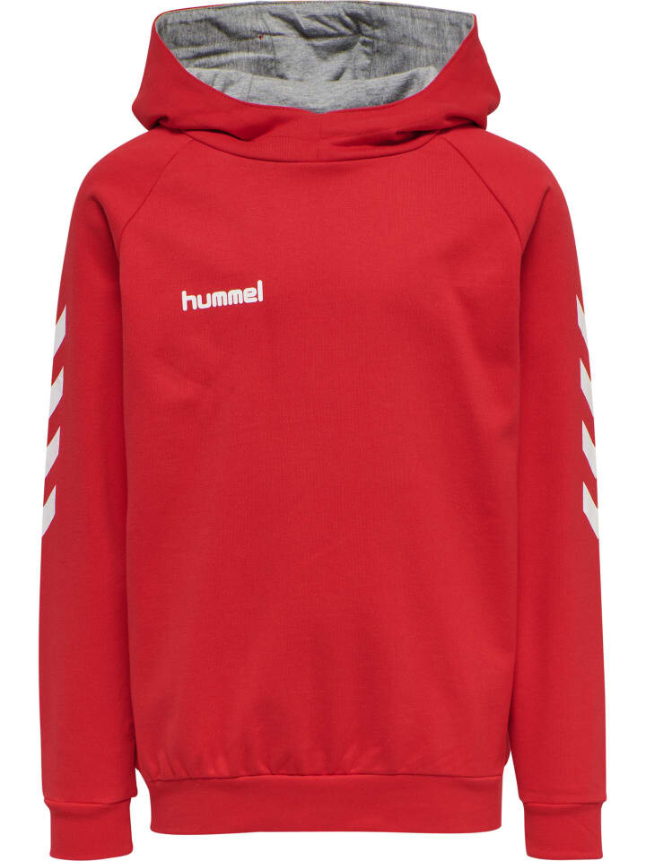 

Худи Hummel Cotton Hmlgo Multisport Kinder, цвет true red