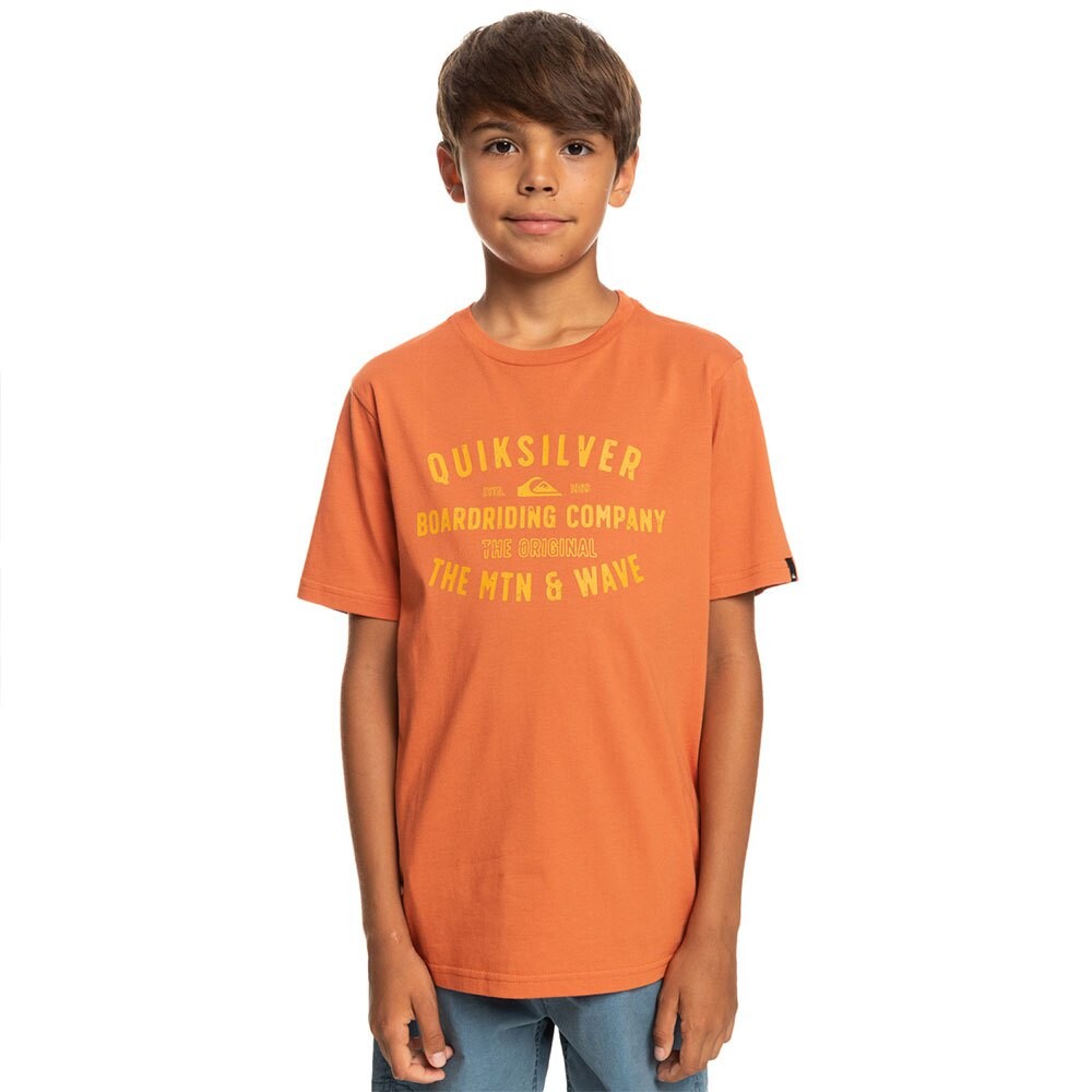 

Футболка Quiksilver Qs Surf Lockup, оранжевый