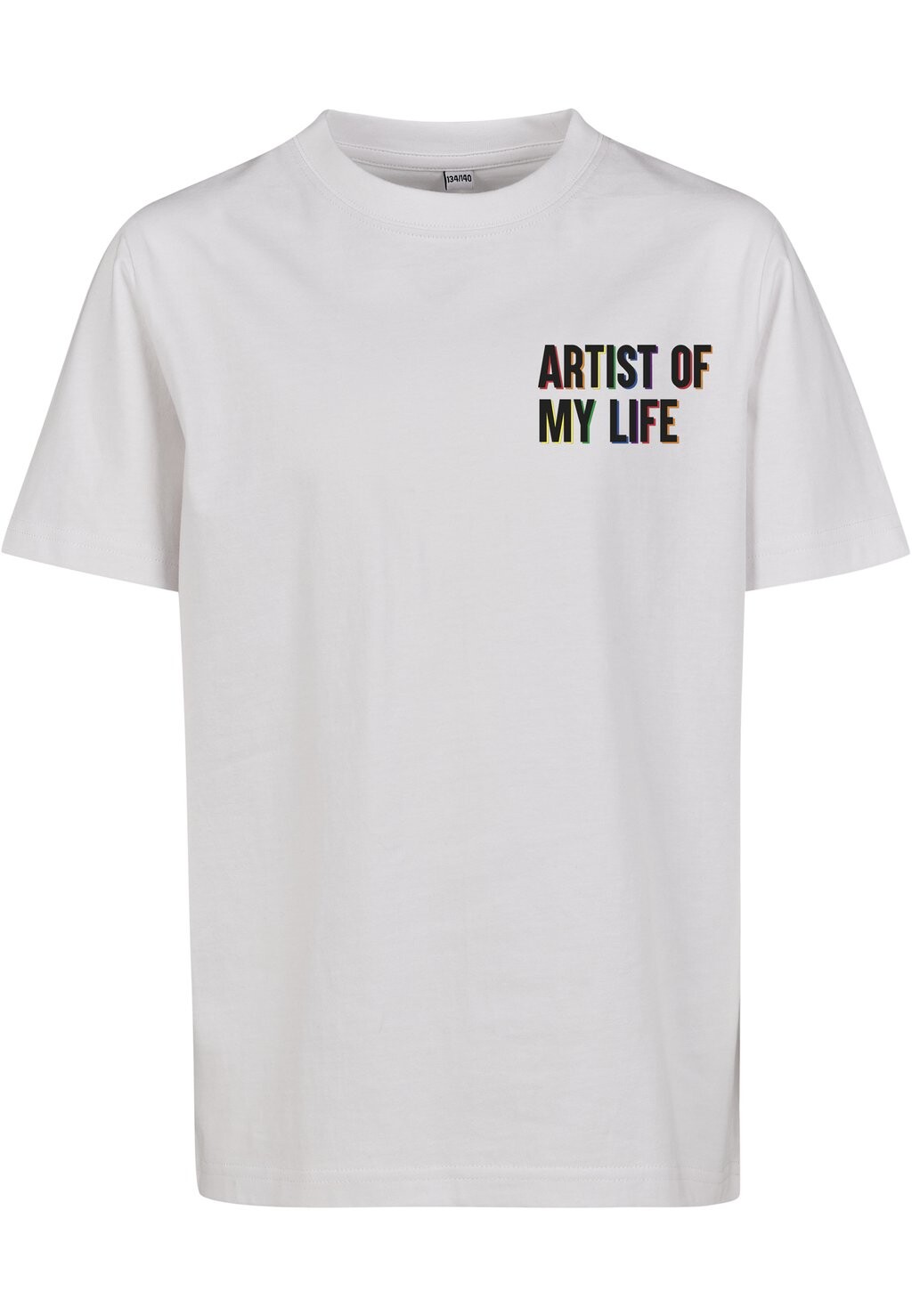 

Футболка с принтом ARTIST OF MY LIFE Mister Tee, цвет white