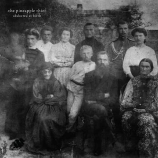 

Виниловая пластинка The Pineapple Thief - Abducted at Birth