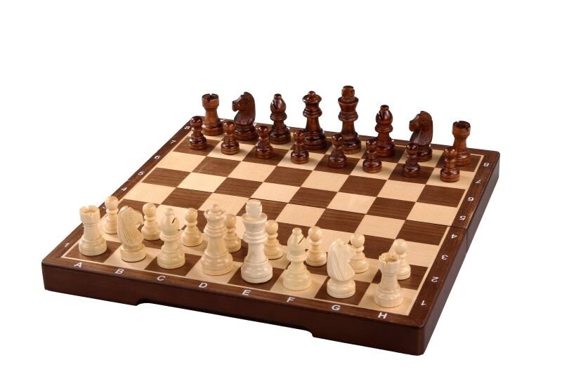 

Sunrise Chess & Games, игра-головоломка «Магнитные шахматы»