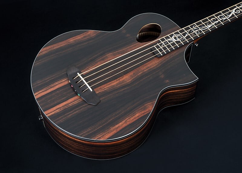 

Басс гитара Michael Kelly Dragonfly 4 Port Java Ebony Acoustic Bass, Macasar Ebony
