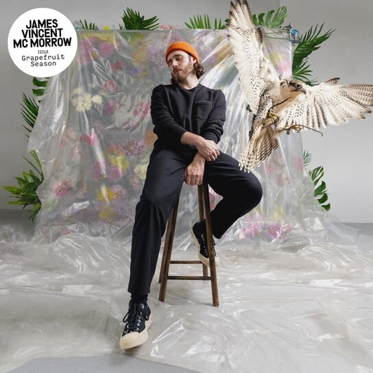 

Виниловая пластинка McMorrow James Vincent - Grapefruit Season