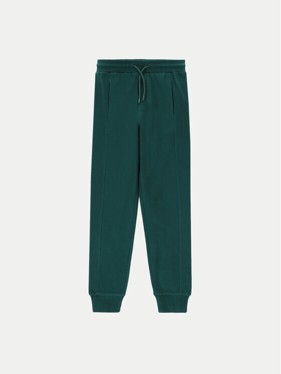 

Спортивные брюки slim fit Coccodrillo, зеленый