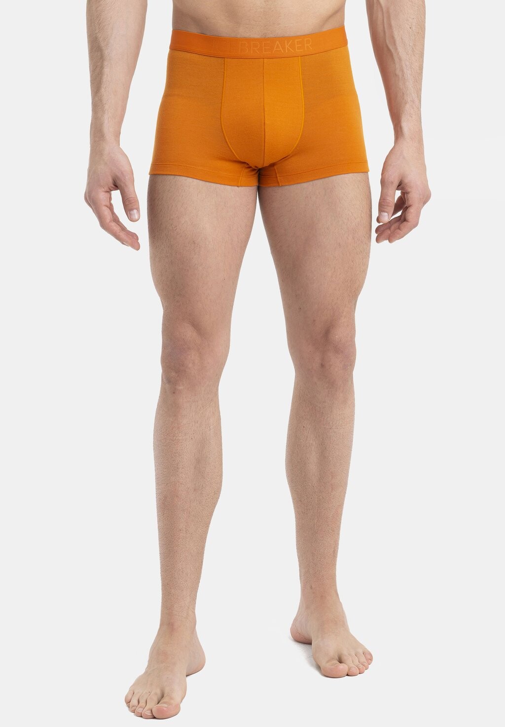 

Трусики ANATOMICA COOL-LITE Icebreaker, цвет earth