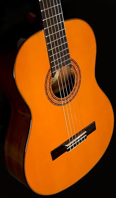 цена Акустическая гитара Washburn C5-WSH Classical Series C5 Nylon Mahogany Neck 6-String Acoustic Guitar -