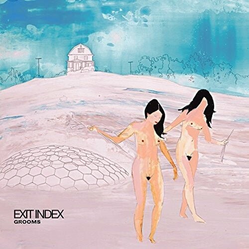 

Виниловая пластинка Grooms - Exit Index
