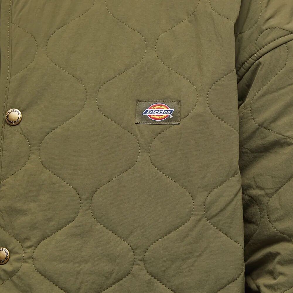 

Dickies Подкладка Thorsby, зеленый