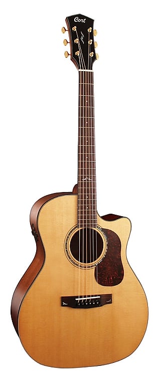 цена Акустическая гитара Cort Gold Series Auditorium A6, Fishman Flex Blend Electronics, 45mm Nut, Free Shipping, Case