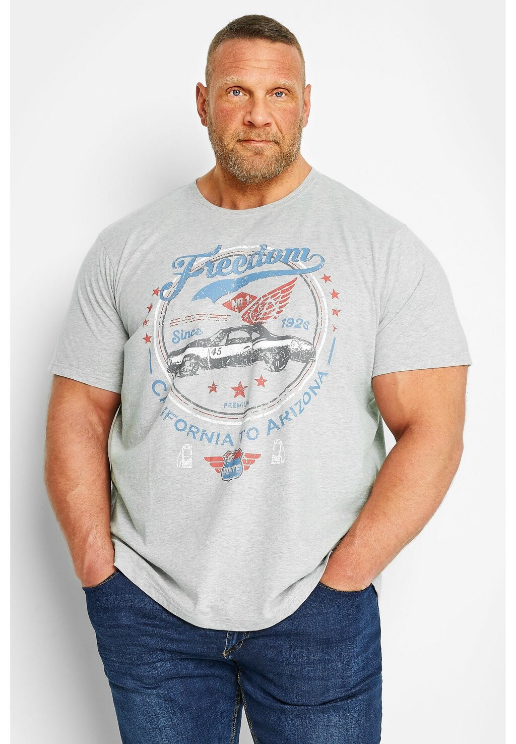 

Футболка с принтом FREEDOM SLOGAN CAR BadRhino, цвет grey