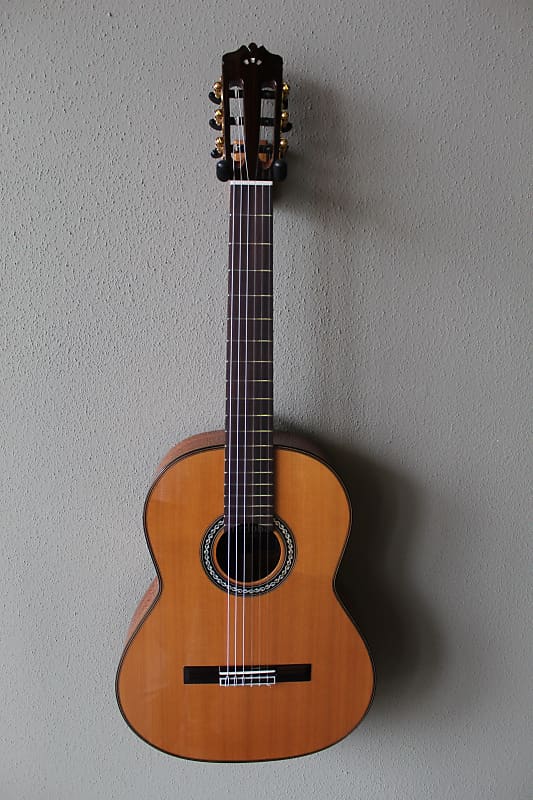 Акустическая гитара Brand New Cordoba C9 Parlor 7/8th Size Nylon String Classical Guitar - Cedar Top гидрогелевая пленка samsung galaxy c9 pro самсунг галакси c9 про на дисплей и заднюю крышку матовая