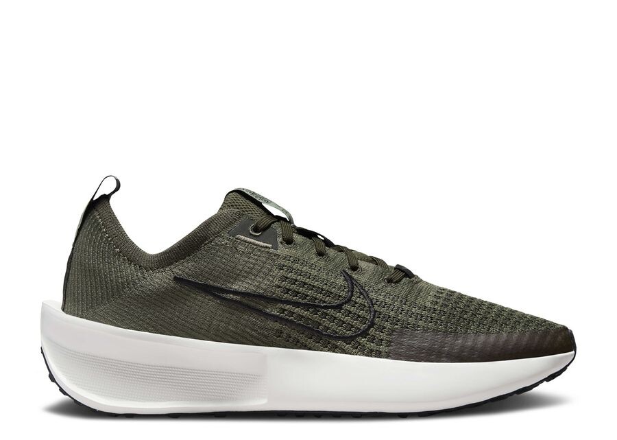 

Кроссовки Nike Wmns Interact Run, цвет Cargo Khaki Jade Horizon