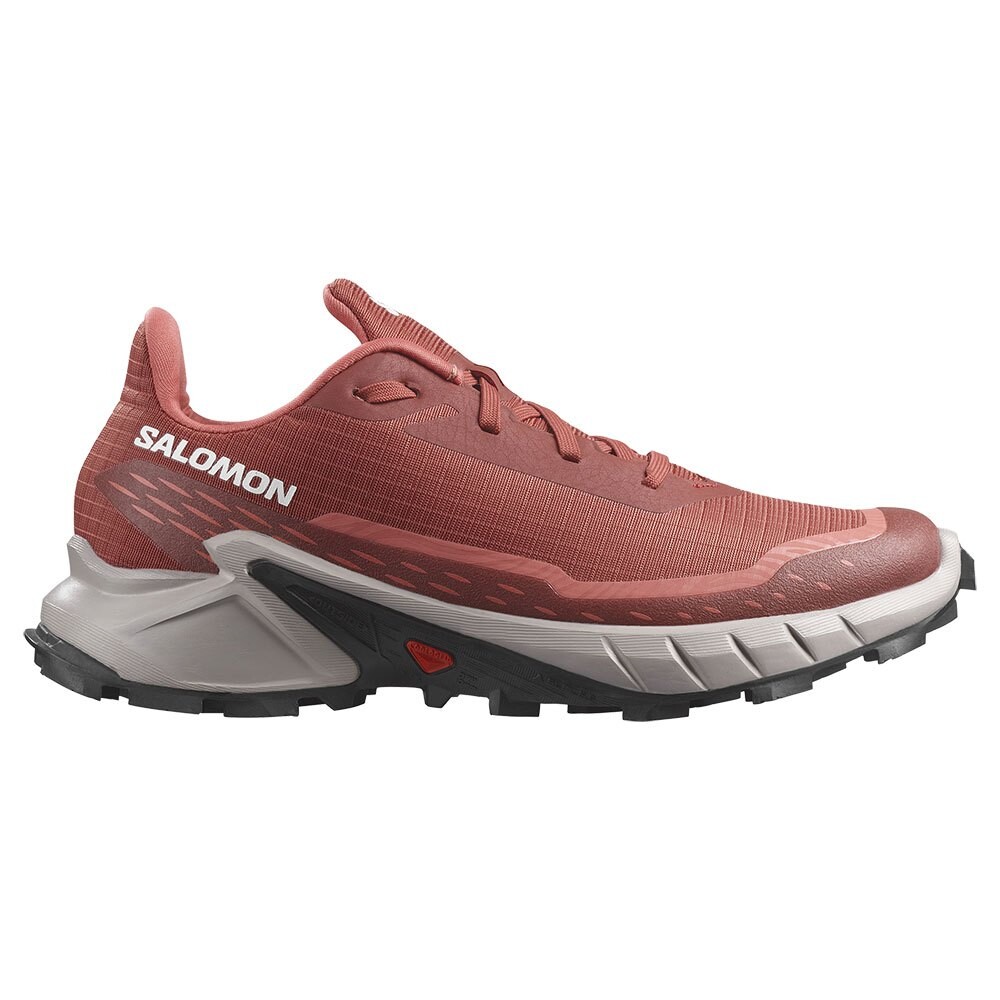 

Кроссовки Salomon Alphacross 5 Trail, коричневый