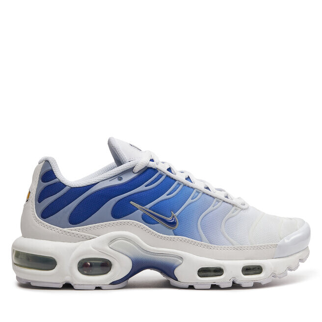 

Кроссовки Nike Air Max Plus FZ4345 100 White/Concord/Mtlc Platinum, белый синий