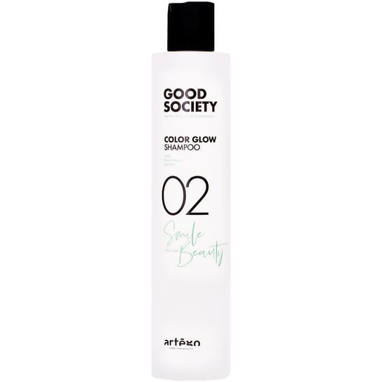 Шампунь для окрашенных волос 250 мл Увлажняет, смягчает и разглаживает пряди Artego Good Society Color Glow Shampoo 02