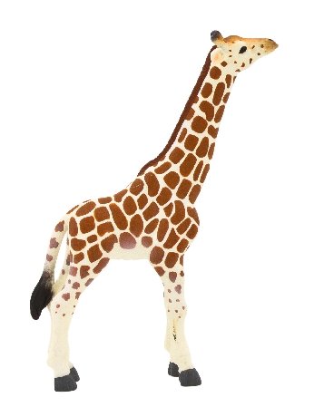 Animal Planet, Коллекционная фигурка, Детеныш жирафа Mojo фигурка schleich 14751 детеныш жирафа