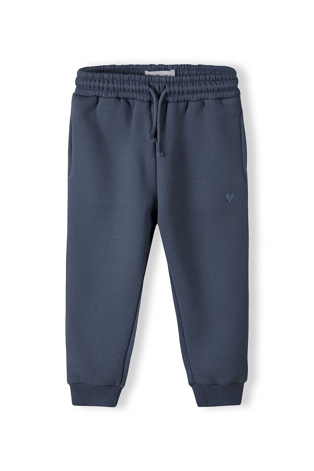 

Спортивные брюки Minoti Jogginghose 16fleece 29, синий