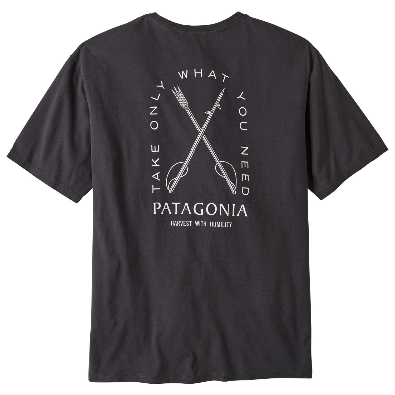 Футболка Patagonia CTA Organic, цвет Humble Harvest/Ink Black
