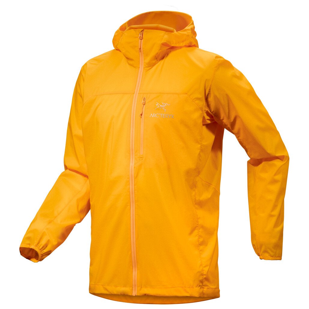 

Ветровка Arc'Teryx Squamish Hoody, цвет Edziza