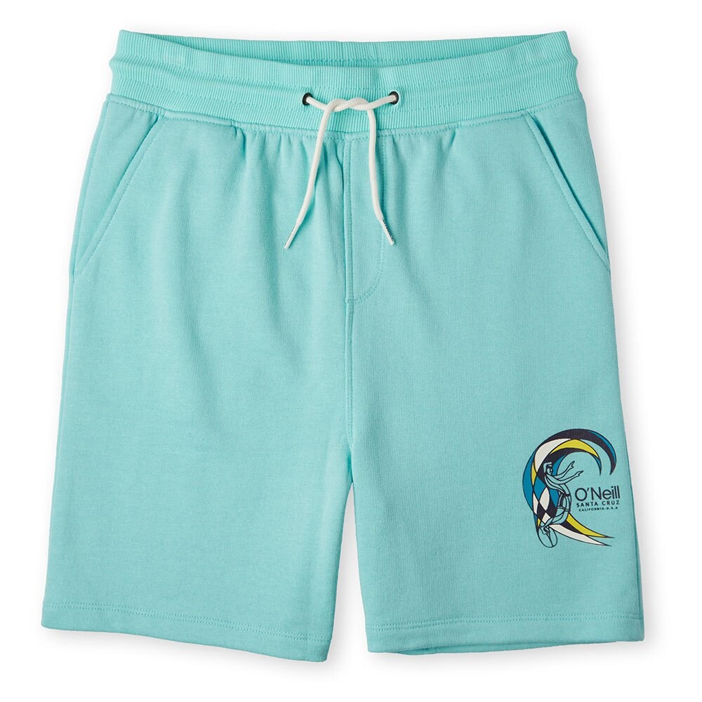 

Джоггеры O´neill Circle Surfer Shorts, синий