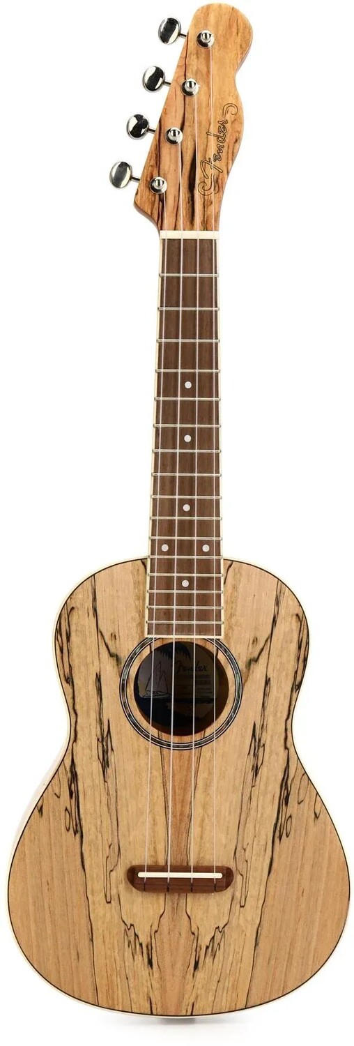 

Fender Zuma Exotic концертная укулеле - клен с шипами