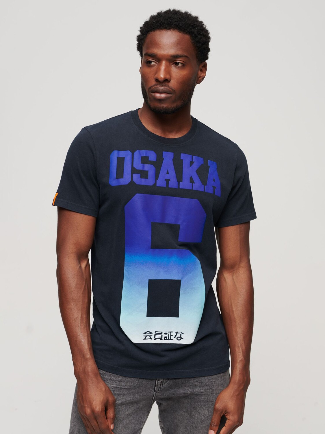 

Футболка Osaka 6 Cali Standard Superdry