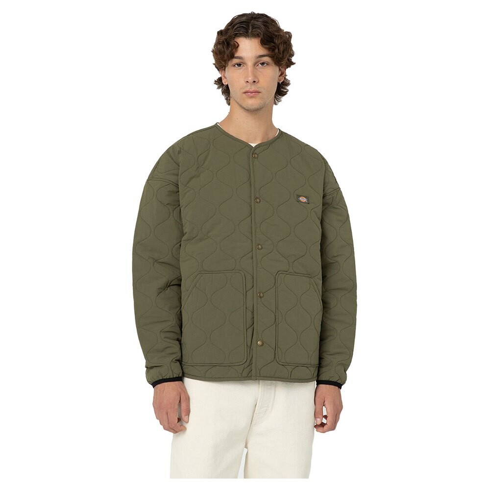 

Куртка Dickies Thorsby Liner, зеленый