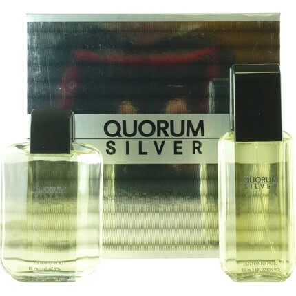 

Quorum Silver от Antonio Puig для мужчин, 2 шт. Подарочный набор Туалетная вода-спрей 100 мл Лосьон после бритья 100 мл Shiseido