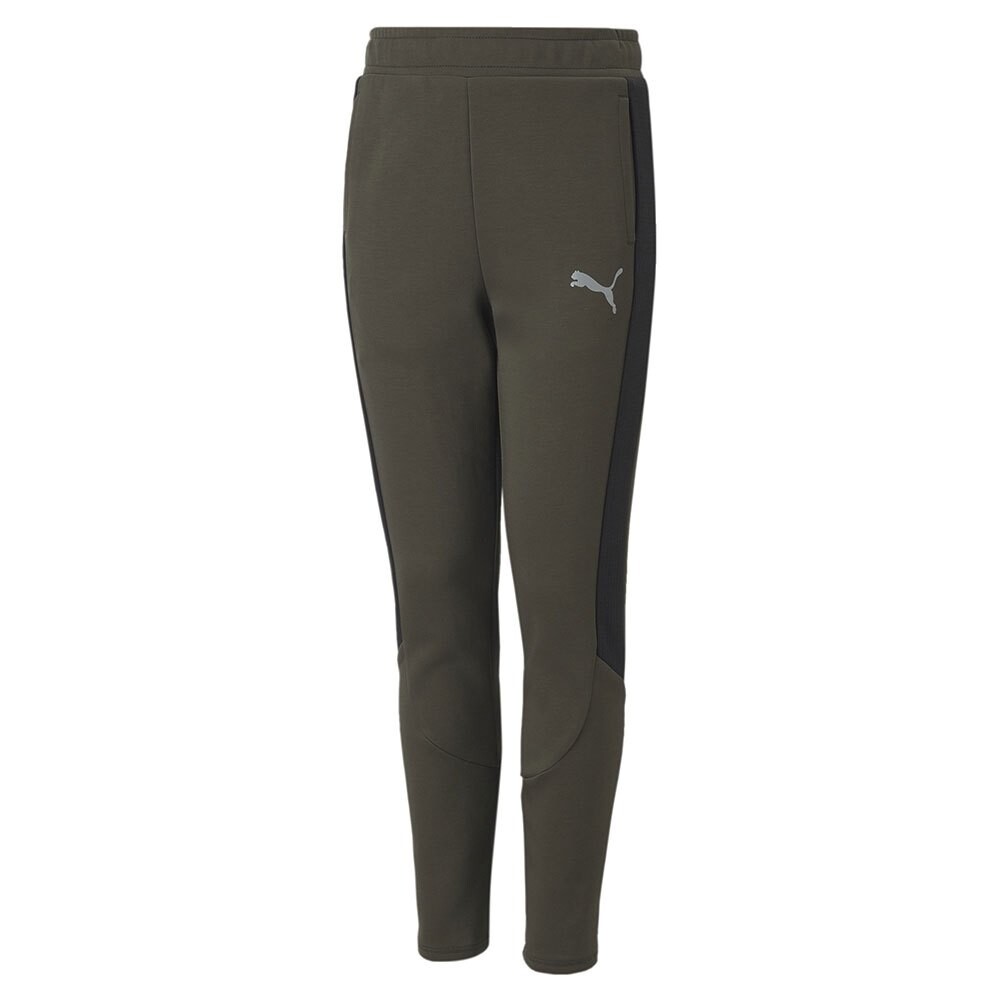 

Брюки Puma Evostripe, зеленый