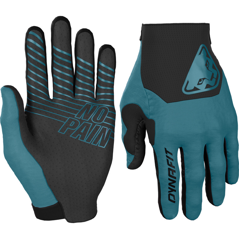 Ездовые перчатки Dynafit, синий