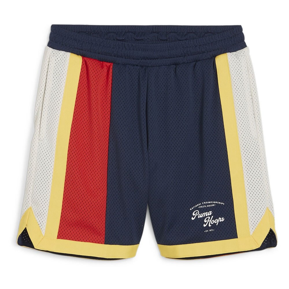 

Шорты Puma Showtime Mesh Sweat, Разноцветный