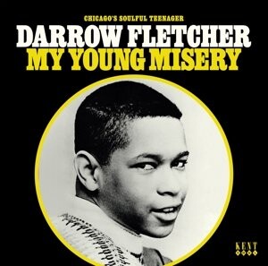 

Виниловая пластинка Fletcher Darrow - My Young Misery