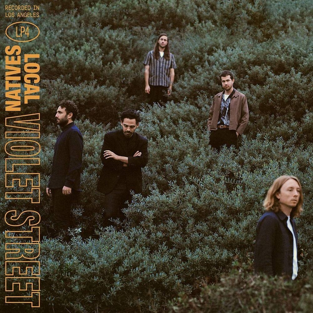 

Виниловая пластинка LP Violet Street - Local Natives