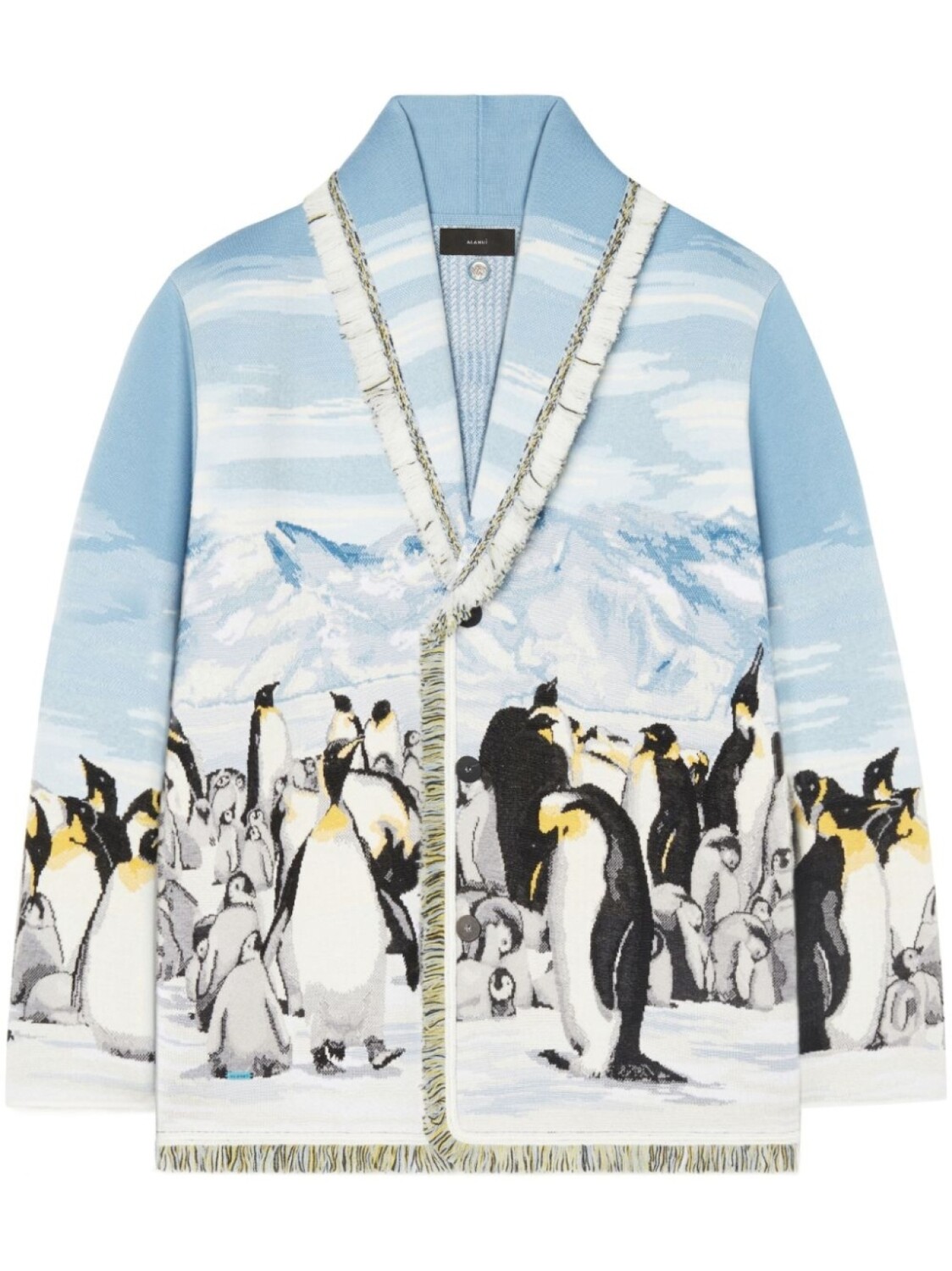

Alanui жаккардовый кардиган Postcard From Antarctica, синий
