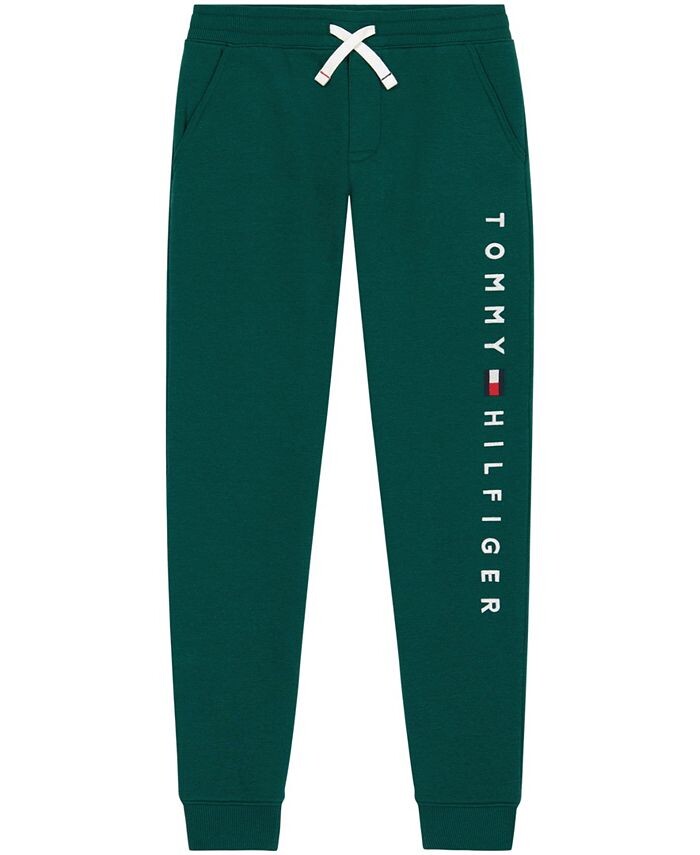 

Джоггеры на шнурке для маленьких мальчиков Quadrant Tommy Hilfiger, зеленый