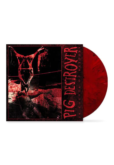 

Виниловая пластинка PIG Destroyer - 38 Counts Of Battery