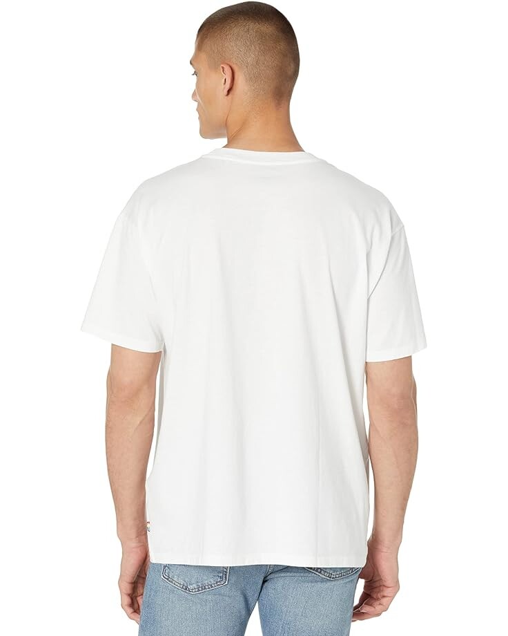 

Футболка Levi's Premium Liberation Roadtrip Tee, цвет Multi Pride Tee White