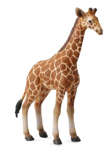 Collecta, Коллекционная фигурка, Сетчатый жираф фигурка collecta сетчатый жираф 88534 15 5 см