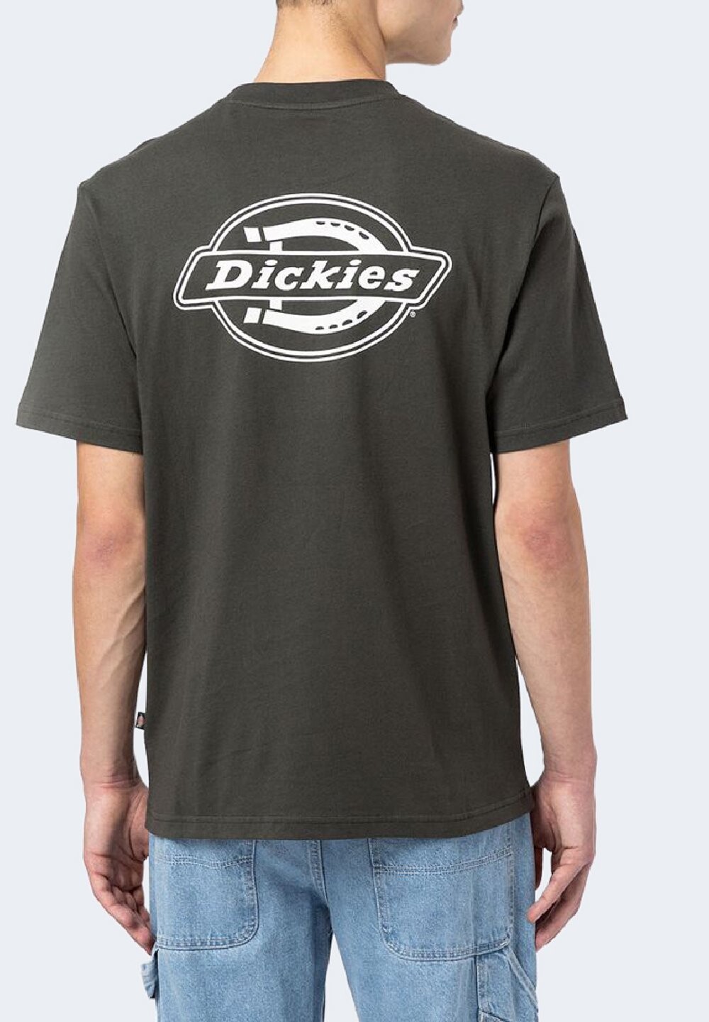 

Футболка с принтом Dickies, оливковый