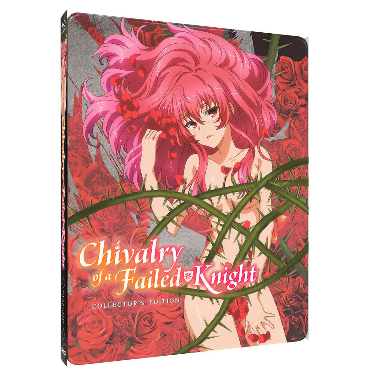 

Blu-Ray диск Chivalry of a Failed Knight Steelbook Blu-ray