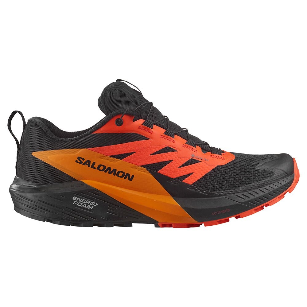 

Кроссовки Salomon Sense Ride 5 Goretex Trail, черный