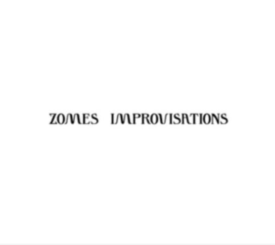 

Виниловая пластинка Zomes - Improvisations