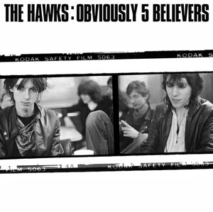 

Виниловая пластинка The Hawks - Obviously 5 Believers