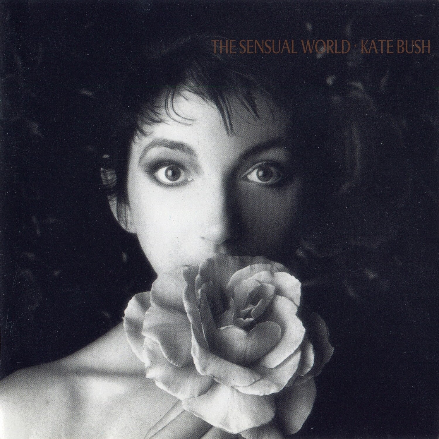 

Виниловая пластинка Kate Bush - The Sensual World