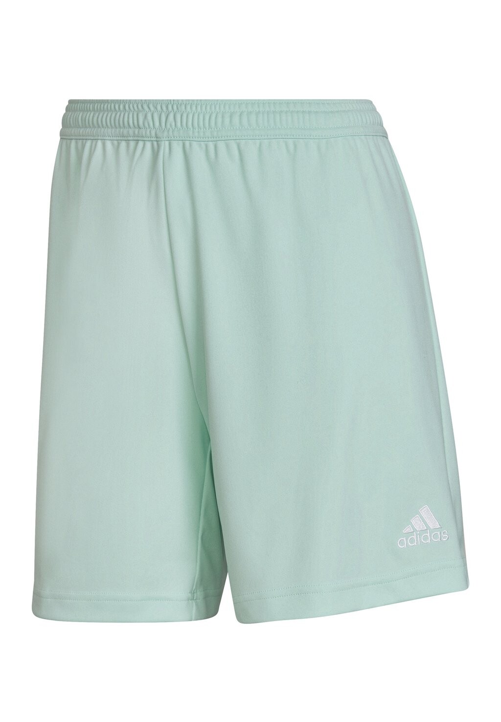 

Спортивные шорты ENTRADA 22 adidas Performance, цвет tuerkisweiss