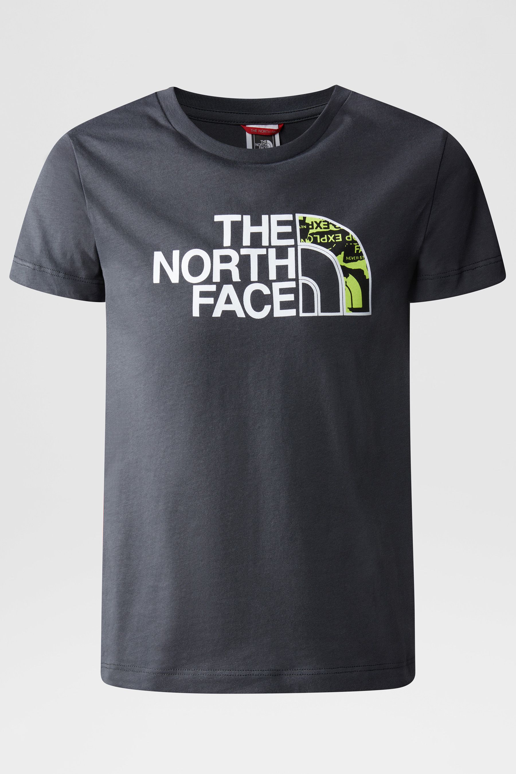 

Футболка Teen Easy The North Face, серый