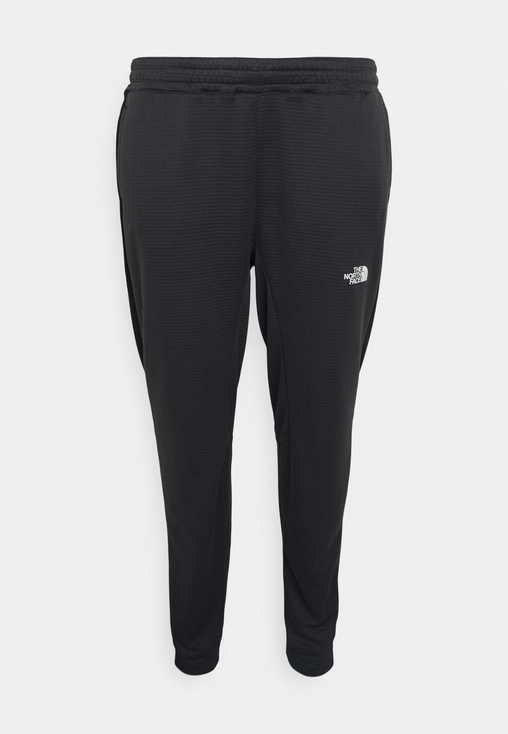 

Спортивные брюки PLUS PANT The North Face, асфальтовый серый/черный
