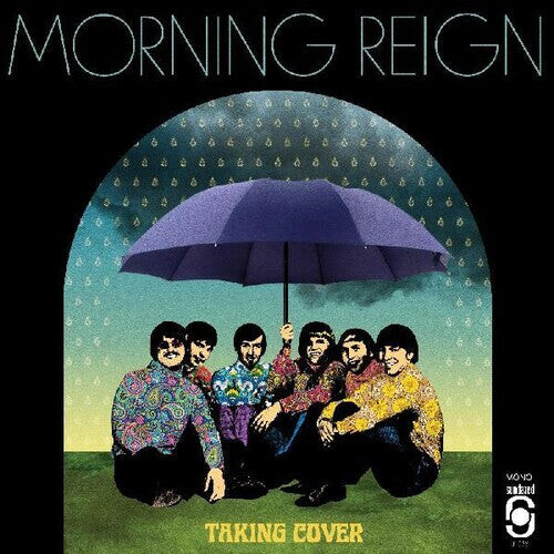 

Виниловая пластинка Morning Reign: Taking Cover